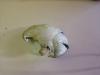 <img100*0:stuff/z/92105/5895/i1293580832_13.jpg>