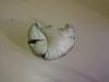 <img100*0:stuff/z/92105/5895/i1293580832_14.jpg>