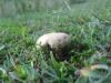 <img100*0:stuff/z/92105/5895/i1293582978_1.jpg>