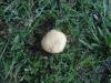 <img100*0:stuff/z/92105/5895/i1293582979_10.jpg>