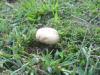 <img100*0:stuff/z/92105/5895/i1293582979_2.jpg>