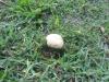 <img100*0:stuff/z/92105/5895/i1293582979_3.jpg>