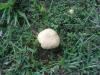<img100*0:stuff/z/92105/5895/i1293582979_4.jpg>