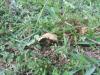 <img100*0:stuff/z/92105/5895/i1293582979_5.jpg>
