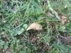 <img100*0:stuff/z/92105/5895/i1293582979_6.jpg>