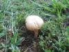 <img100*0:stuff/z/92105/5895/i1293582979_8.jpg>