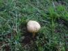 <img100*0:stuff/z/92105/5895/i1293582979_9.jpg>