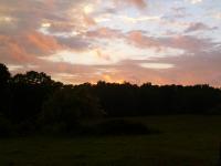 <img200*0:stuff/z/92105/the%2520sky%2520and%2520stuff/i1309299738_4.jpg>