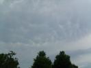 <img0*100:stuff/z/92105/the%2520sky%2520and%2520stuff/i1309299739_11.jpg>