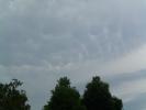<img0*100:stuff/z/92105/the%2520sky%2520and%2520stuff/i1309299739_12.jpg>