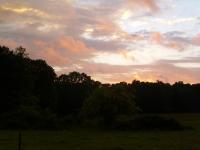<img200*0:stuff/z/92105/the%2520sky%2520and%2520stuff/i1309299739_5.jpg>