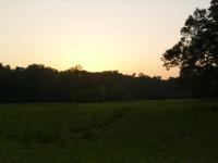 <img200*0:stuff/z/92105/the%2520sky%2520and%2520stuff/i1309299739_8.jpg>