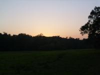 <img200*0:stuff/z/92105/the%2520sky%2520and%2520stuff/i1309299739_9.jpg>