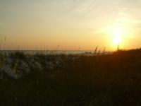 <img200*0:stuff/z/92105/vdndg/i1310852864_2.jpg>