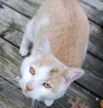 <img150*0:stuff/z/93740/Catzilla/oct%20237.jpg>