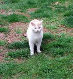 <img150*0:stuff/z/93740/Catzilla/oct%20343.jpg>