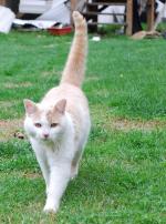 <img150*0:stuff/z/93740/Catzilla/oct%20344.jpg>