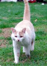 <img150*0:stuff/z/93740/Catzilla/oct%20345.jpg>