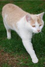<img150*0:stuff/z/93740/Catzilla/oct%20348.jpg>