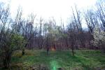 <img150*0:stuff/z/93740/Countryscapes/oct%20022.jpg>