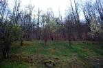 <img150*0:stuff/z/93740/Countryscapes/oct%20023.jpg>