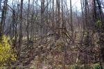 <img150*0:stuff/z/93740/Countryscapes/oct%20025.jpg>