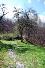 <img150*0:stuff/z/93740/Countryscapes/oct%20032.jpg>