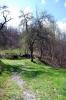 Countryscapes