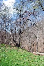 <img150*0:stuff/z/93740/Countryscapes/oct%20044.jpg>