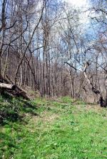 <img150*0:stuff/z/93740/Countryscapes/oct%20045.jpg>