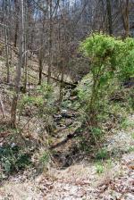 <img150*0:stuff/z/93740/Countryscapes/oct%20046.jpg>