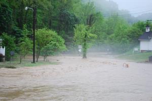 <img300*0:stuff/z/93740/Nature%2527s%2520Fury%2520/DSC_0630.JPG>