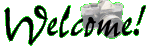 <img150*0:stuff/z/93740/Pamela%2527s%2520Clip%2520Art/welcomecamera.gif>