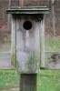 <img0*100:stuff/z/93740/Props%2520Vol%25202/oct%20244.jpg>