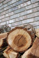 <img150*0:stuff/z/93740/Props%2520Vol%25202/oct%20246.jpg>