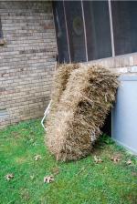 <img150*0:stuff/z/93740/Props%2520Vol%25202/oct%20265.jpg>