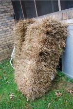 <img150*0:stuff/z/93740/Props%2520Vol%25202/oct%20266.jpg>