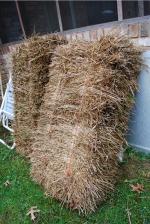 <img150*0:stuff/z/93740/Props%2520Vol%25202/oct%20267.jpg>