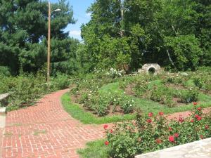<img300*0:stuff/z/93740/Rose%2520Garden%2520-%2520Huntington%2520WV/Julyaug2008%20385.jpg>