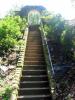 <img0*100:stuff/z/93740/Rose%2520Garden%2520-%2520Huntington%2520WV/Julyaug2008%20394.jpg>