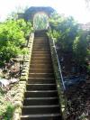 <img100*0:stuff/z/93740/Rose%2520Garden%2520-%2520Huntington%2520WV/Julyaug2008%20394.jpg>