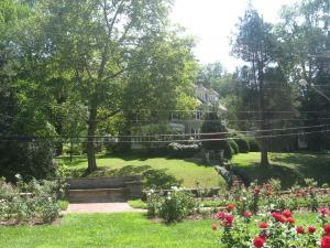 <img300*0:stuff/z/93740/Rose%2520Garden%2520-%2520Huntington%2520WV/Julyaug2008%20406.jpg>