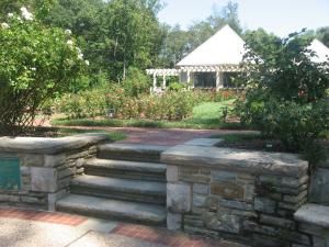 <img300*0:stuff/z/93740/Rose%2520Garden%2520-%2520Huntington%2520WV/hrg1.jpg>