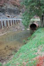 <img150*0:stuff/z/93740/Stone%2520Coal%2520Creek/oct%20308.jpg>