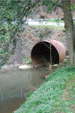 <img150*0:stuff/z/93740/Stone%2520Coal%2520Creek/oct%20309.jpg>