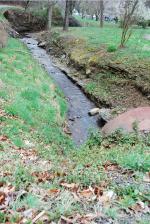 <img150*0:stuff/z/93740/Stone%2520Coal%2520Creek/oct%20314.jpg>