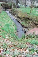 <img150*0:stuff/z/93740/Stone%2520Coal%2520Creek/oct%20315.jpg>