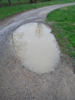 <img150*0:stuff/z/93740/Stone%2520Coal%2520Creek/oct%20316.jpg>