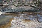 <img150*0:stuff/z/93740/Stone%2520Coal%2520Creek/oct%20318.jpg>