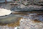 <img150*0:stuff/z/93740/Stone%2520Coal%2520Creek/oct%20319.jpg>